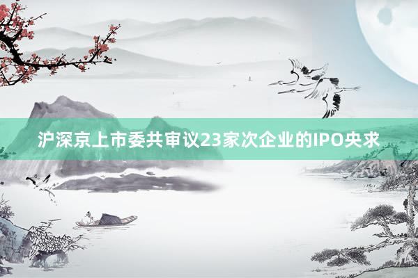 沪深京上市委共审议23家次企业的IPO央求